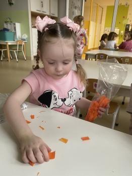 IMG_5998.JPG