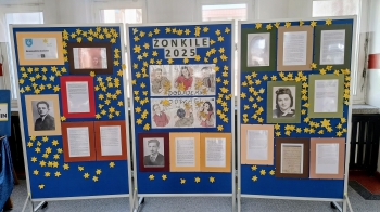 żonkile 25