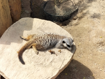 IMG20250521120915