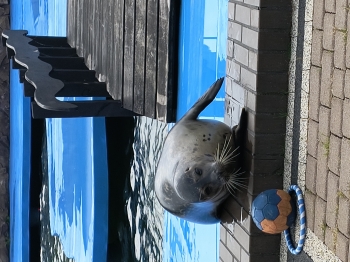 IMG_20250618_100658193