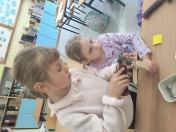 IMG_20251002_122856815