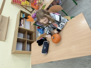 IMG_20251031_120020642