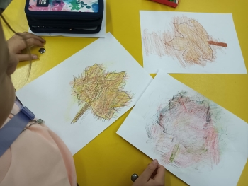 WhatsApp Image 2025-10-30 at 10.32.16.jpeg