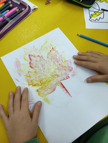 WhatsApp Image 2025-10-30 at 10.32.15.jpeg