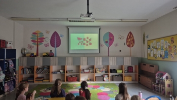 WhatsApp Image 2025-11-05 at 13.05.2.jpeg