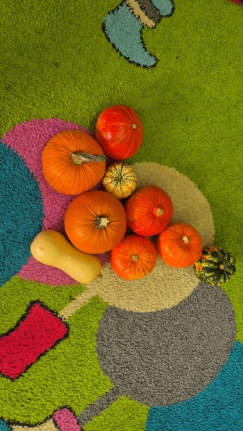 WhatsApp Image 2025-11-05 at 13.07.21.jpeg