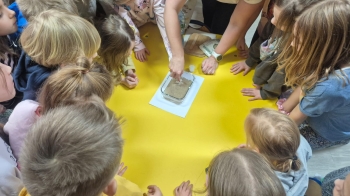 WhatsApp Image 2025-11-28 at 10.22.29.jpeg