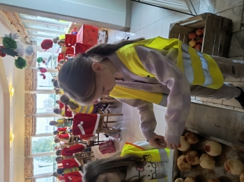 IMG_20251210_091436475