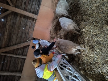 IMG_20251210_111703028