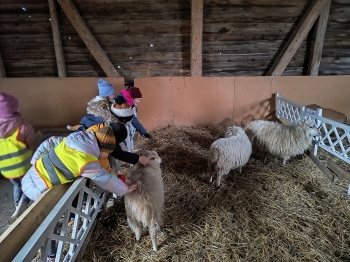 IMG_20251210_111706842