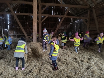 IMG_20251210_111157826