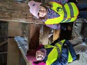 IMG_20251210_111329879