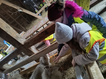 IMG_20251210_111434364