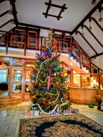 IMG_20251210_085957596~2