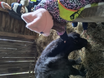 IMG_20251210_110957188