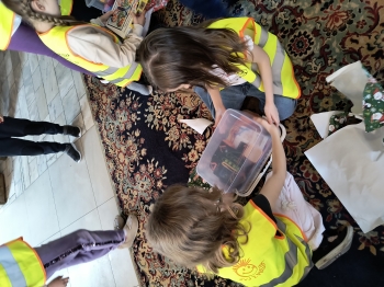 IMG_20251210_102932521