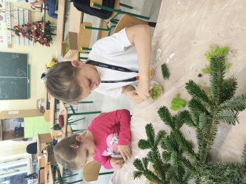 IMG_20251212_120757375