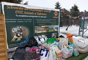 WhatsApp Image 2026-02-03 at 20.04..jpeg