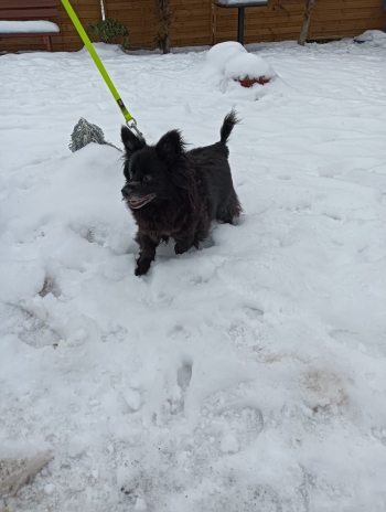 WhatsApp Image 2026-02-03 at 20.04.03.jpeg