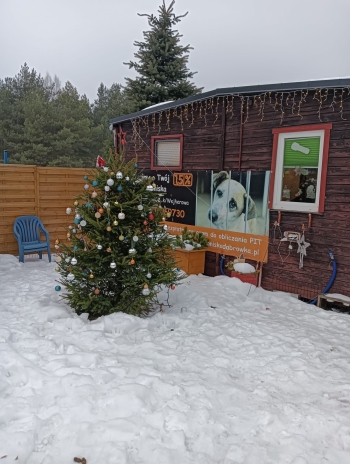 WhatsApp Image 2026-02-03 at 20.04.02.jpeg