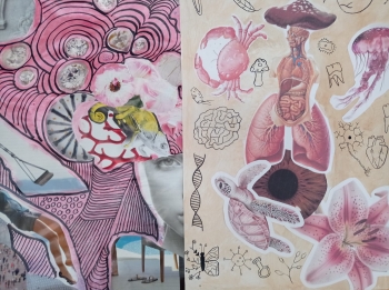 WhatsApp Image 2026-04-16 at 19.35.2.jpeg