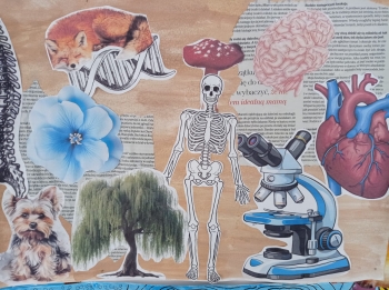 WhatsApp Image 2026-04-16 at 19.35.jpeg