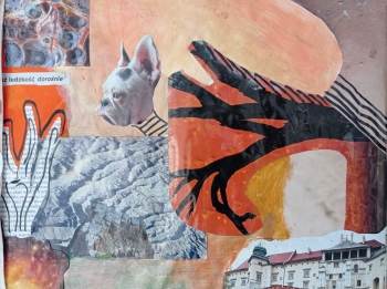 WhatsApp Image 2026-04-16 at 19.37.09.jpeg