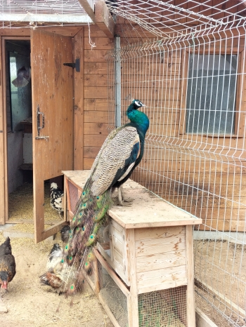IMG20260616121959