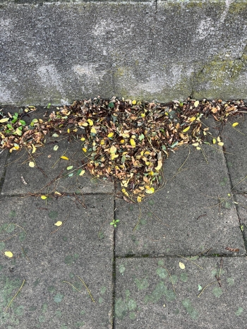 IMG-20260923-WA0004
