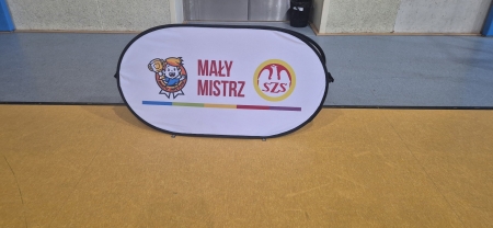 Program Mały Mistrz