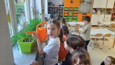 Nasz mały ogródek