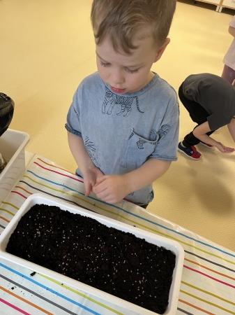 ''W NASZYM OGRÓDECZKU''