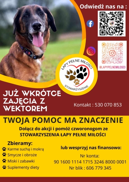 Edukacja na trzech łapach